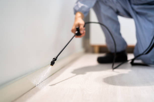 Licensed Pest Control service in Frederick, OK - Nex Pest Control