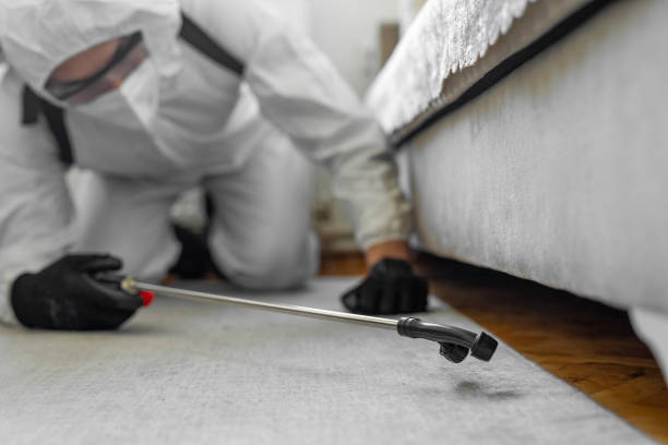 Professional Pest Control technician working in Frederick, OK