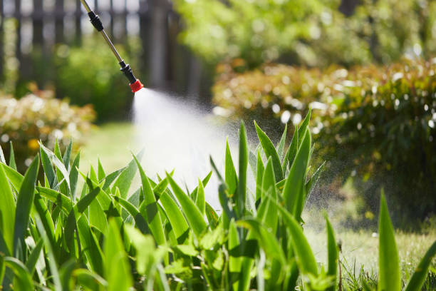 24/7 Emergency Pest Control experts in Frederick, OK