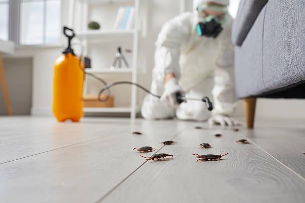 Affordable Pest Control solutions in Frederick, OK