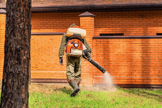 Top rated local Pest Control specialists in Frederick, OK